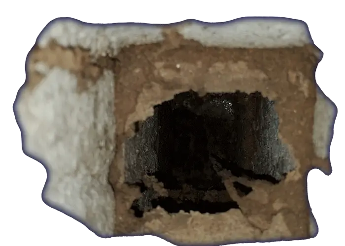 Termite Tubes